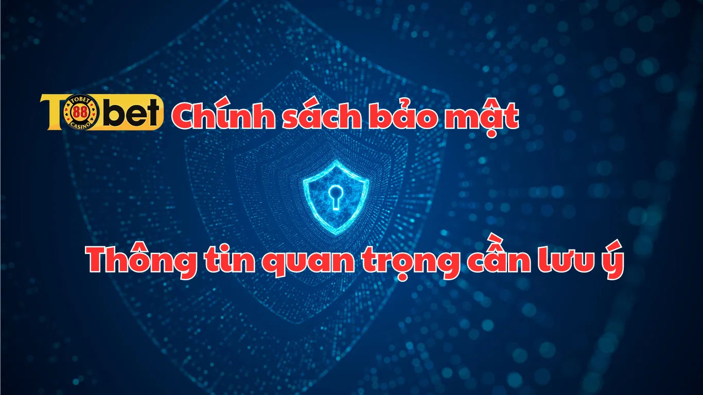 Chính sách bảo mật Tobet88 - Thông tin quan trọng cần lưu ý Chính sách bảo mật Tobet88 - Thông tin quan trọng cần lưu ý