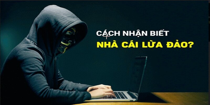 Nhà Cái Tobet88 Có Uy Tín Không? Phân Tích & Đánh Giá Từ A-Z