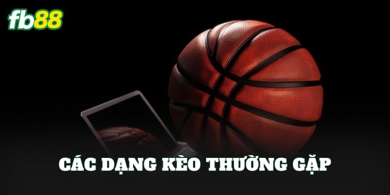 Cá Cược Bóng Rổ FB88: Cách Vào Kèo Dễ Hiểu Cho Người Mới Cá Cược Bóng Rổ FB88: Cách Vào Kèo Dễ Hiểu Cho Người Mới