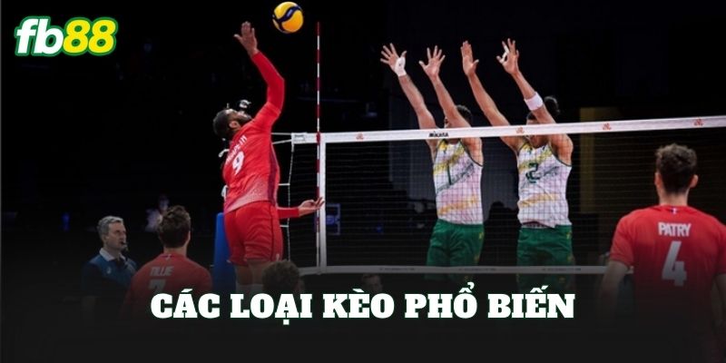 Cá Cược Bóng Chuyền: Hướng Dẫn Chơi Kèo Hiệu Quả Cá Cược Bóng Chuyền: Hướng Dẫn Chơi Kèo Hiệu Quả