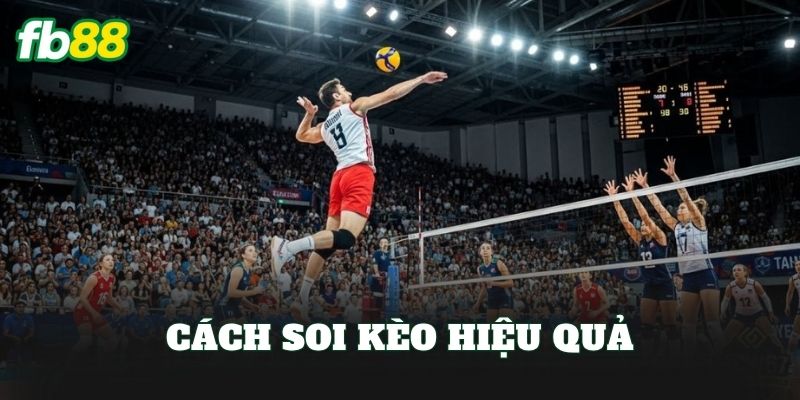 Cá Cược Bóng Chuyền: Hướng Dẫn Chơi Kèo Hiệu Quả Cá Cược Bóng Chuyền: Hướng Dẫn Chơi Kèo Hiệu Quả
