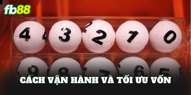 Dàn Đề 38 Số Và Cách Chơi Tối Ưu Cho Người Mới
