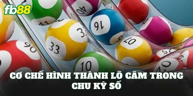 Lô Câm Là Gì? Cách Chơi Lô Câm Trong Thống Kê Xổ Số FB88
