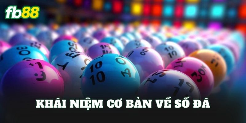 Số Đá? Giải Thích Chi Tiết Trong Cộng Đồng Trò Chơi Số