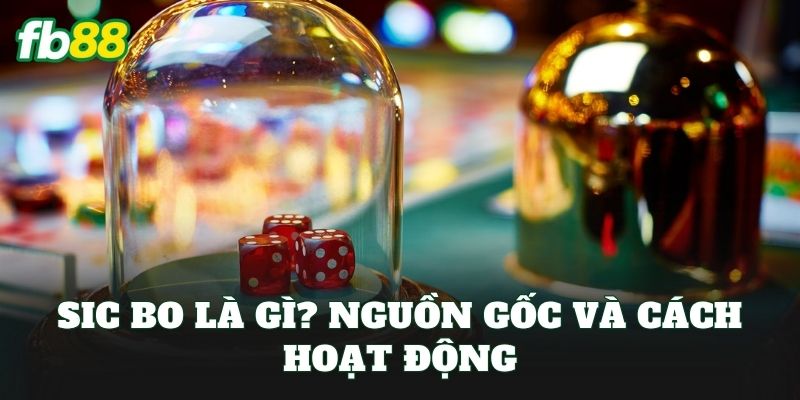 Sic Bo Là Gì? Luật Chơi, Mẹo Thắng Tại FB88