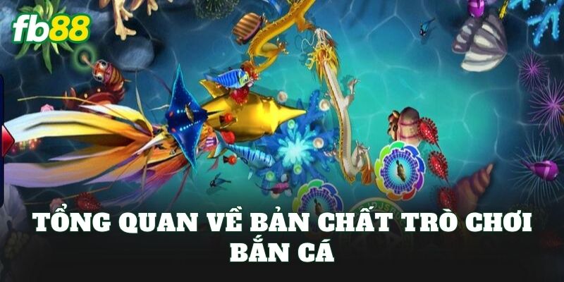 Cách Hack Máy Bắn Cá: Góc Nhìn Thực Tế Khi Chơi Tại FB88
