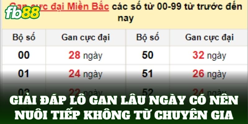 Lô Gan Lâu Ngày Có Nên Nuôi Tiếp Không: Lời Khuyên FB88 Lô Gan Lâu Ngày Có Nên Nuôi Tiếp Không: Lời Khuyên FB88