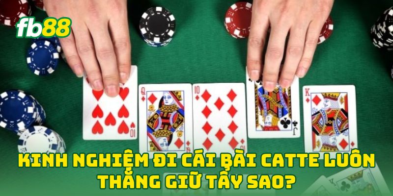 Kinh Nghiệm Đi Cái Bài Catte Luôn Thắng: 5 Tuyệt Kỹ Từ FB88
