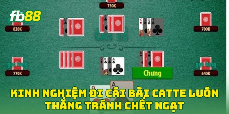 Kinh Nghiệm Đi Cái Bài Catte Luôn Thắng: 5 Tuyệt Kỹ Từ FB88