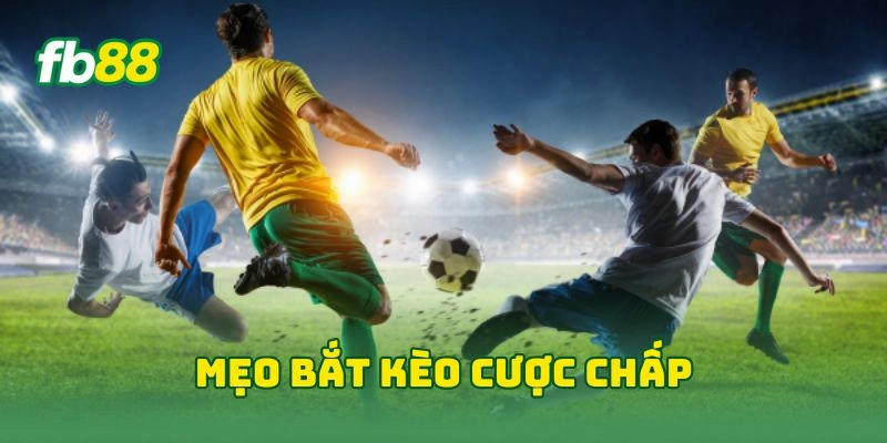 Tỷ Lệ Cược Chấp Hiệp 1 FB88 - 7 Cách Đọc Tỷ Lệ Kèo Hiệu Quả!