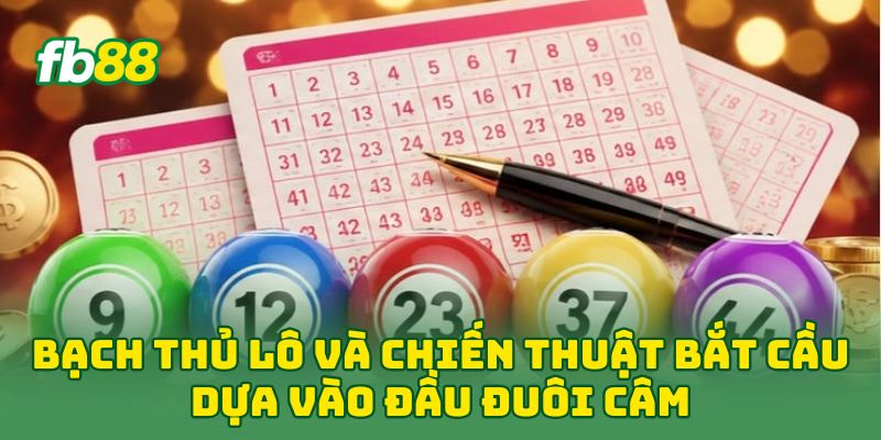 Bạch Thủ Lô: 5 Bí Mật Soi Cầu Độc Thủ Giúp Về Số Nhanh