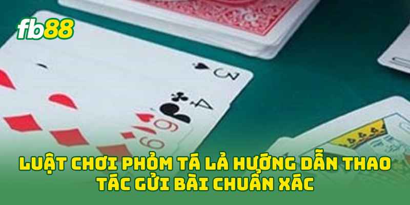 Luật Chơi Phỏm Tá Lả: 7 Quy Tắc Giúp Người Mới Chơi Chuẩn Luật Chơi Phỏm Tá Lả: 7 Quy Tắc Giúp Người Mới Chơi Chuẩn