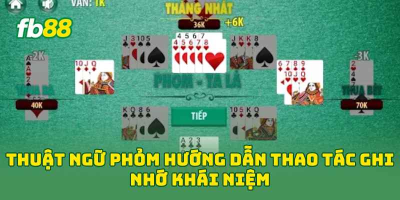 Thuật Ngữ Phỏm: 5 Khái Niệm Giúp Bạn Hiểu Luật Nhanh Hơn! Thuật Ngữ Phỏm: 5 Khái Niệm Giúp Bạn Hiểu Luật Nhanh Hơn!